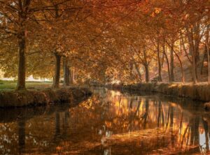 pantorrilla tattoo en la pierna de futbol