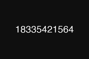 18335421564