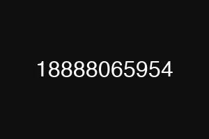 18888065954