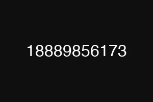18889856173