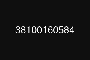 38100160584