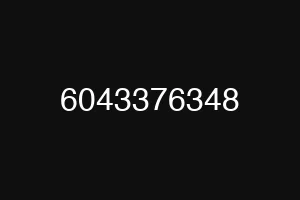 6043376348