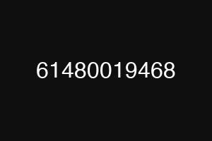 61480019468