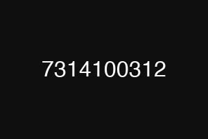 7314100312