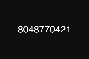 8048770421