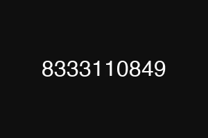 8333110849