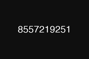 8557219251