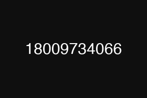 18009734066