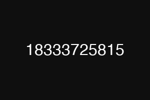 18333725815