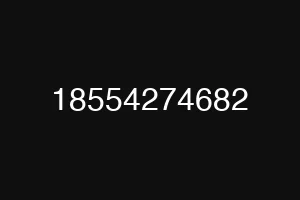 18554274682