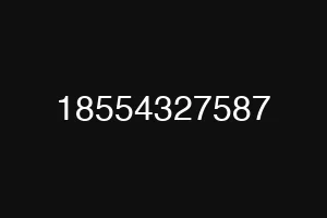 18554327587