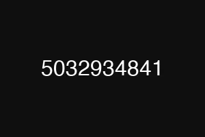5032934841
