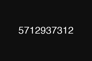 5712937312