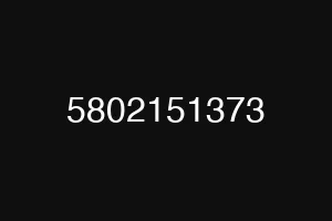 5802151373