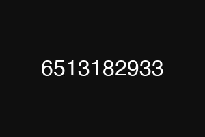 6513182933