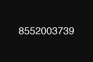 8552003739