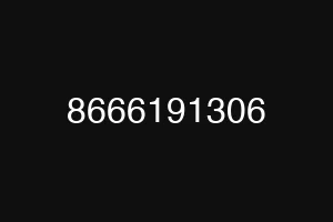 8666191306