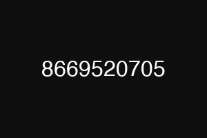8669520705