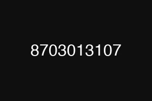 8703013107