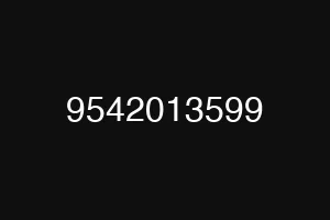 9542013599