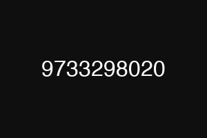 9733298020